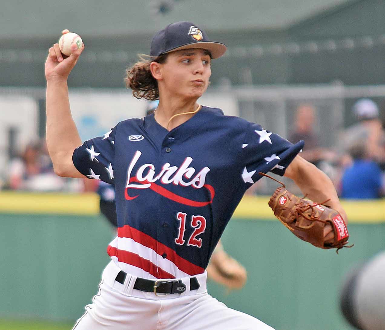 Bismarck Larks